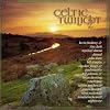 Celtic Twilight 2