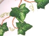 Review Colclough  / Colclough Ivy Leaf Cup and Saucer first quality