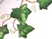 Kitchen & Housewares : Colclough Ivy Leaf 8143 Cake Plate