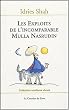 Les exploits de l'incomparable Mulla Nasrudin