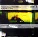 Enter the Throne Room CD