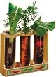 Root Viewer Garden Kit