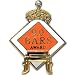 Sporting Goods : 9.0 Bars Award Pin.