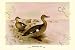 Art Poster, Madagascan Teal - 27.5 x 18.75