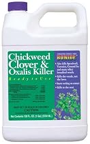 CHICKCLOVER RTU GAL