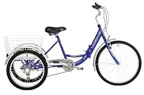 Viking Cargo Folding Adult Trike 6sp Tricycle