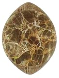 Nature's Jewelry -Croc Blanc Brooch Large with Natural Snake Stone