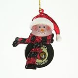 Ottawa Senators Striped Acrylic Power Play Ornament (Set of 4)