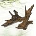 Zilla Malaysian Driftwood Shape Varies