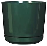 Dynamic Design SD1006EV Hi Gloss 10-Inch Poly Planter with Attached Saucer, Evergreen