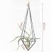 Rustic Style Freestanding Hanging Metal Tillandsia Air Plant Rack Holder Black 10 inches Height Quadrilateral Pyramid Shape Geometric