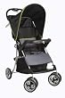 Cosco Sprinter Stroller, Adirondack