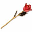 24kt Gold Dipped Real Pink Rose