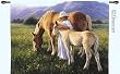 Beautiful Blondes Horse Woven Tapestry Wall Hanging