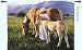Beautiful Blondes Horse Woven Tapestry Wall Hanging