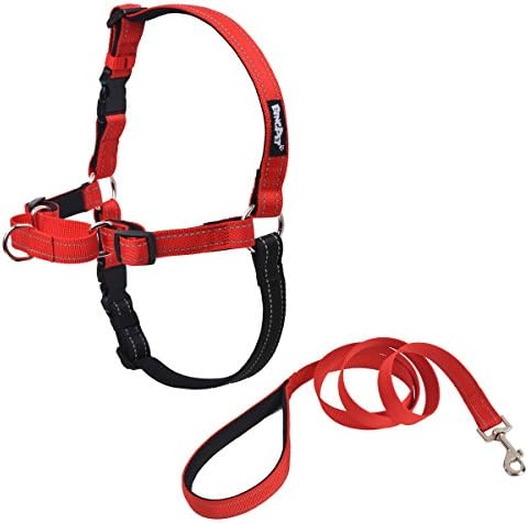 PetTa Reflective Stitching Easy Walk No Pull Dog Padded Harness With Matching Leash Red S