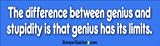The difference between Genius & Stupidity is that genius has its limits - Refrigerator Magnets 7x2 in