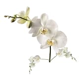 RoomMates RMK1315GM White Orchid Peel & Stick Giant Wall Decals