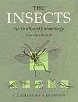 Insects : An Outline of Entomology