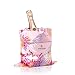 Veuve Clicquot Clicq'up Ros� Champagner, 1 Flasche (1 x 750 ml)