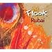Ma musique irlandaise