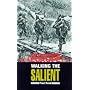 Walking the Salient: Ypres (Battleground Europe)