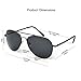 Classic Polarized Sunglasses 2-Pack Black
