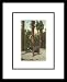 Bear, San Bernardino Mountains, California Framed Art Poster Print, 14x16