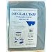 Tarp Silver 10 Feet x 15 Feet