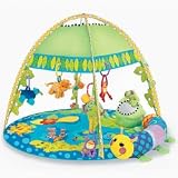Sassy Lily Pad Lagoon Developmental Playmat