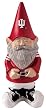 Indiana University Garden Gnome