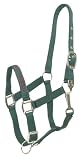 AVAILABLE in 8 COLORS!! Gatsby I LOVE MY PONY Nylon Halter