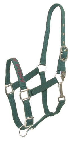 AVAILABLE in 8 COLORS!! Gatsby I LOVE MY PONY Nylon Halter