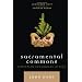 Sacramental Commons: Christian Ecological Ethics (Nature's Meaning)