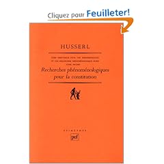 Recherches ph�nom�nologiques pour la constitution