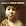 Mavis Staples