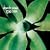 Exciter