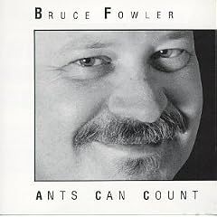 Ants Can Count