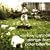 Songs for Polar Bears