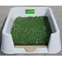 Mini Pee Wee Dog Potty