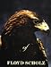 Birds of Prey