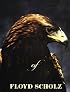 Birds of Prey