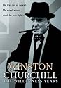 Winston Churchill: The Wilderness Years [DVD] [1981] [Region 1] [US Import] [NTSC]