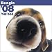  - Beagle 2008 Calendar