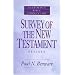 Survey of the New Testament- Bible Commentary (Everymans Bible Commentaries)