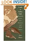 Caught in Fading Light: Mountain Lions, Zen Masters, and Wild Nature
