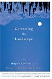 Correcting the Landscape: A Novel
