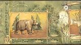 Green Wildlife Collage Wallpaper Border
