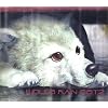 WOLF’S RAIN O.S.T.2