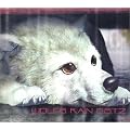 WOLF�fS RAIN O.S.T.2